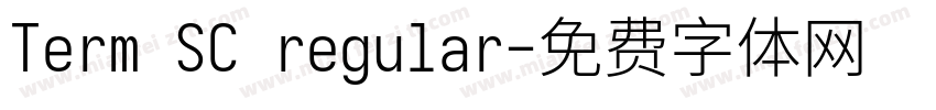 Term SC regular字体转换